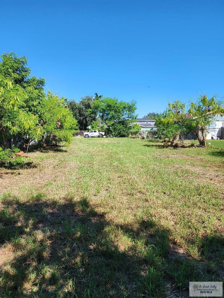 Property Photo: 1161 Sandy Ln. TX 78521