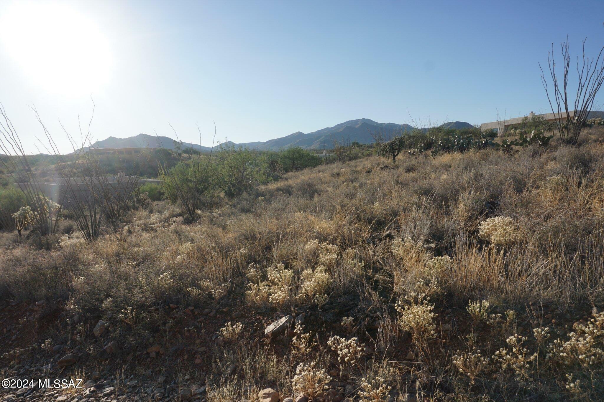 Property Photo:  237 W Aberdeen Street  AZ 85641 