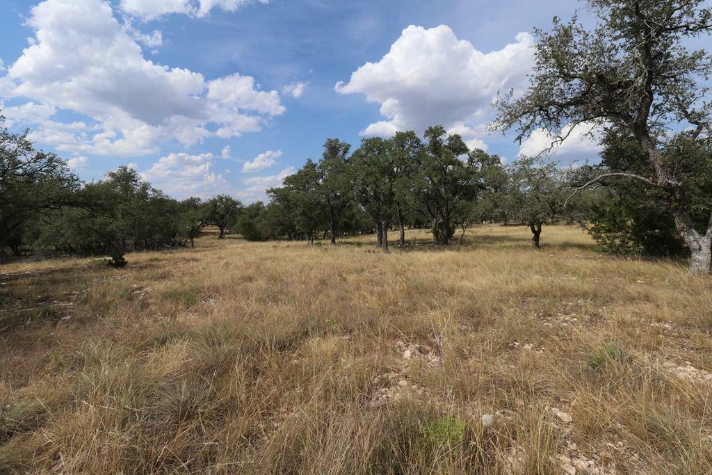 Property Photo:  107 Nott Branch Rd  TX 78631 