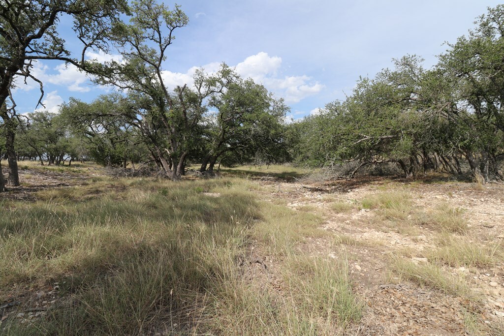 Property Photo:  97 Nott Branch Rd  TX 78631 