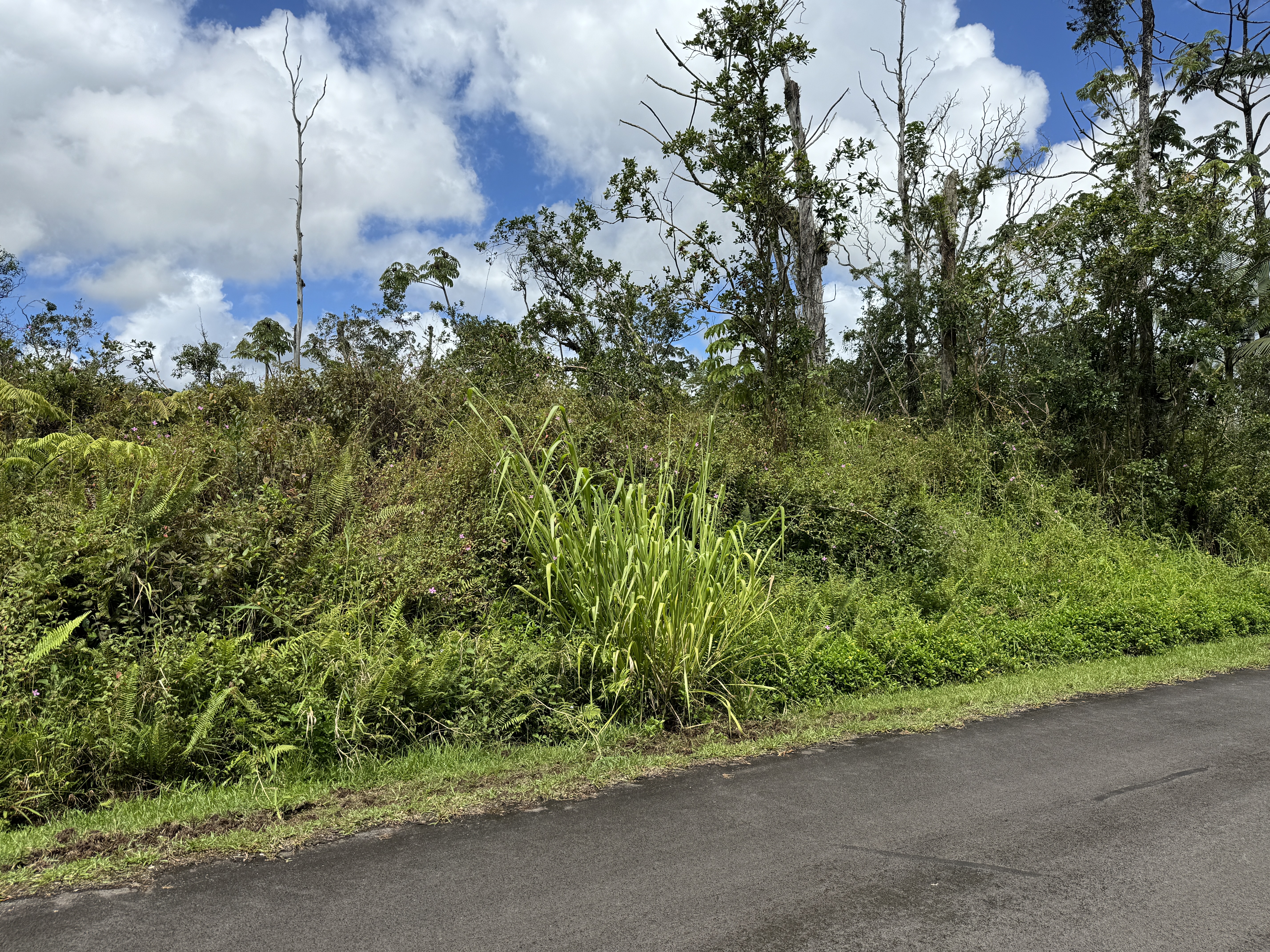 Property Photo:  Kumakahi St Lot 42  HI 96778 