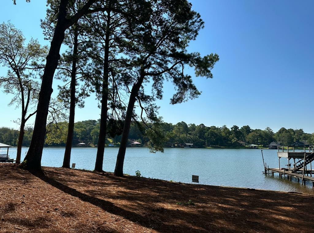 Property Photo: 2432 Lake Park Ln TX 75766