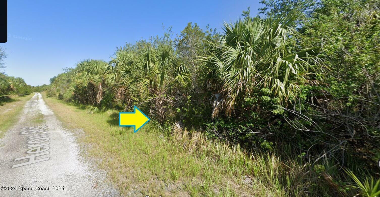 Property Photo:  673 Heron Road SW  FL 32908 