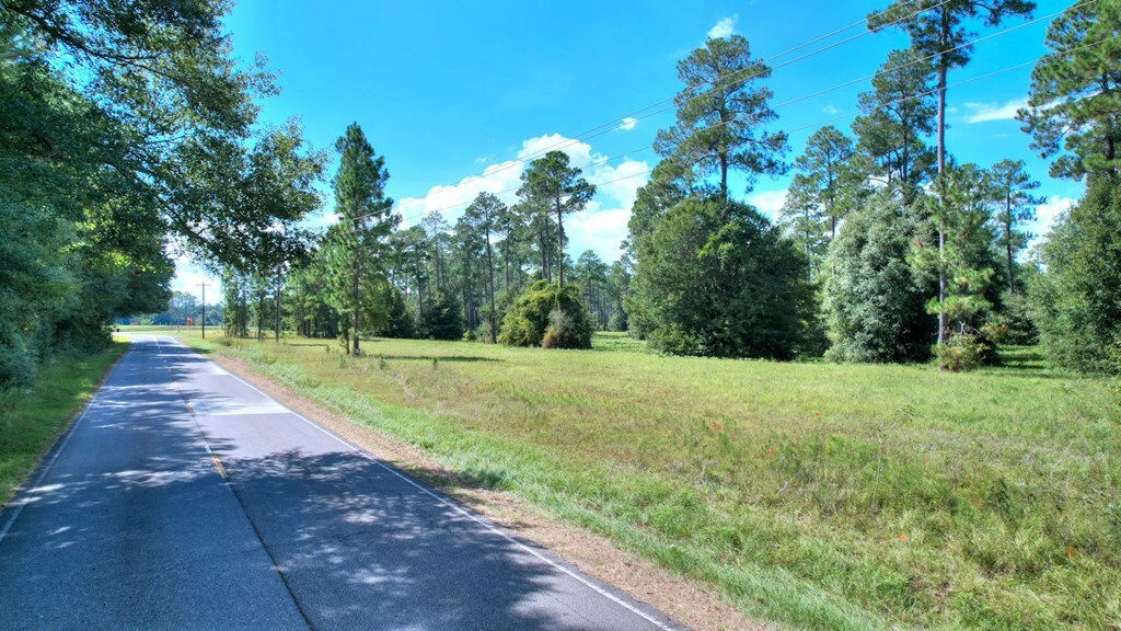 Property Photo:  Lot 23 Blk A - N Coney Rd  GA 31015 