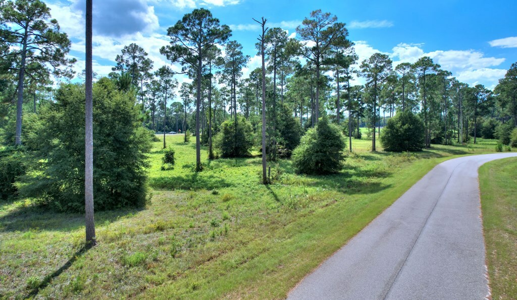 Property Photo:  Lot 45 Blk A - Swann Dr  GA 31015 