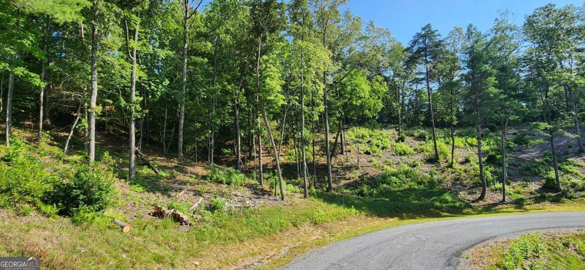 Property Photo:  Lot 6 Mountain Laurel Ridge  GA 30559 