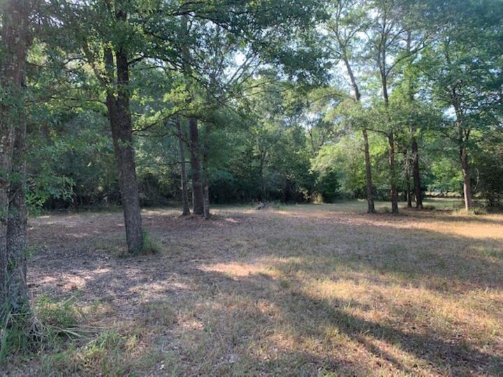 Property Photo:  0000 Kickapoo Road  TX 77447