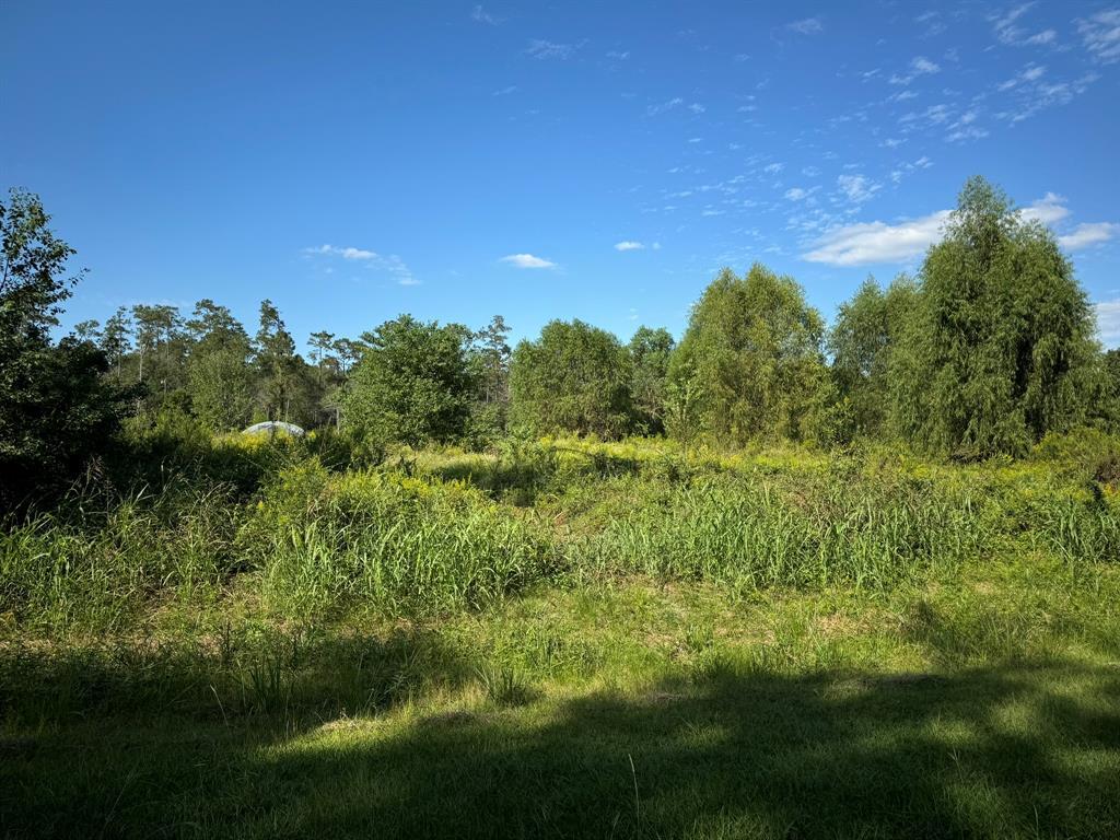 Property Photo: Lot 75 Pine Park Boulevard TX 77632