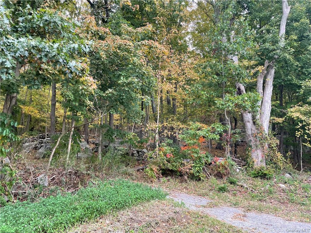 Property Photo:  321 Guinea Road  NY 10509 