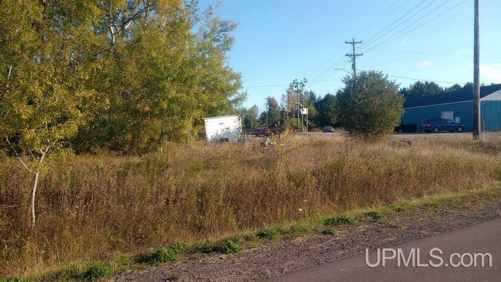 Property Photo: 727 Lake Linden Ave Street MI 49913-0000