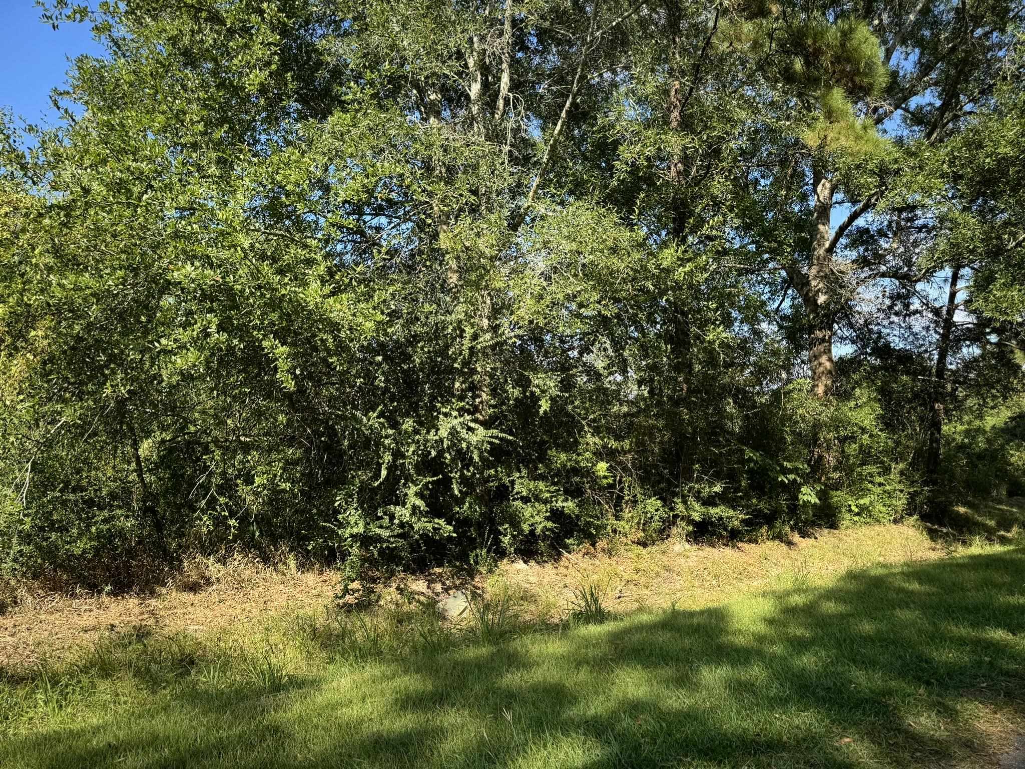 Property Photo:  Lot 72 Pine Park Blvd  TX 77632 