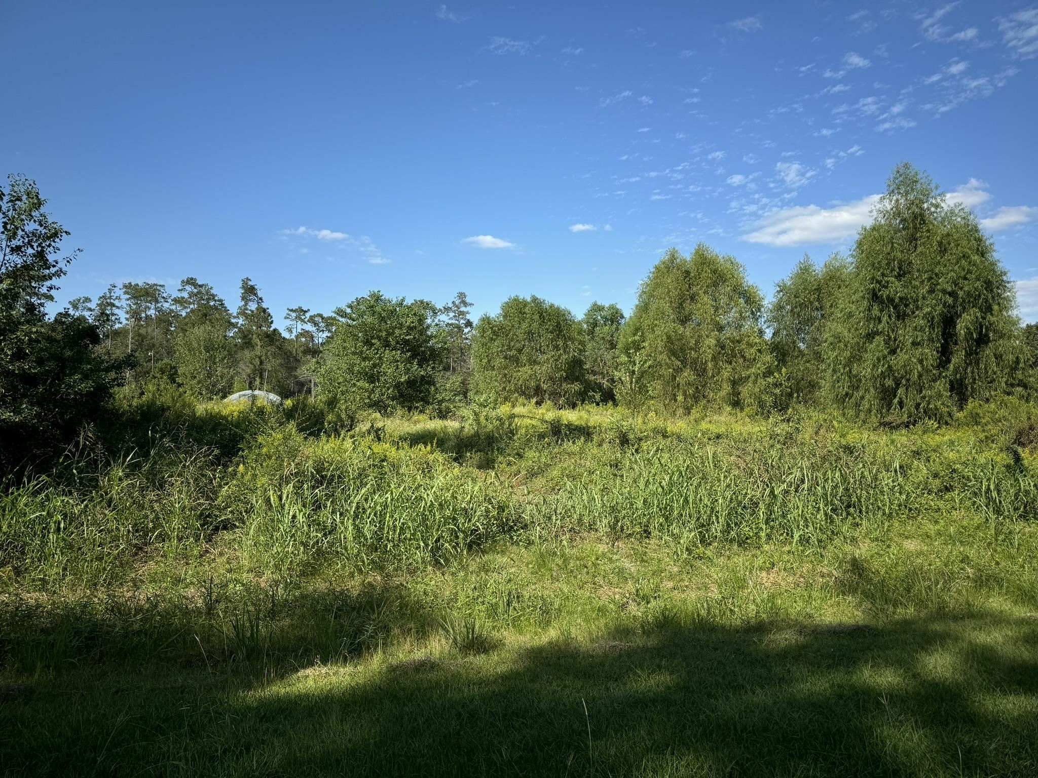 Property Photo:  Lot 70 Pine Park Blvd.  TX 77632 