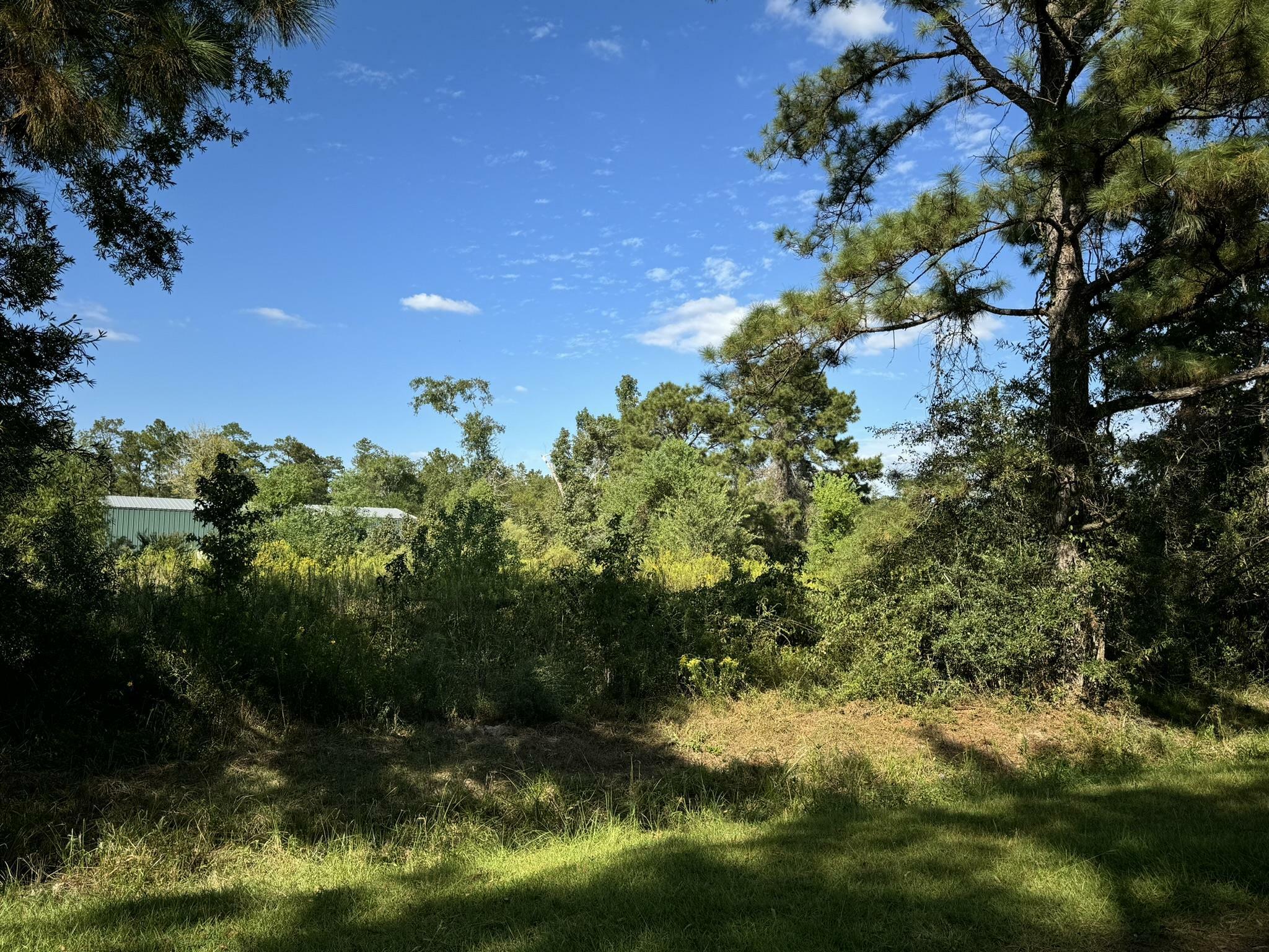 Property Photo:  Lot 75 Pine Park Blvd  TX 77632 