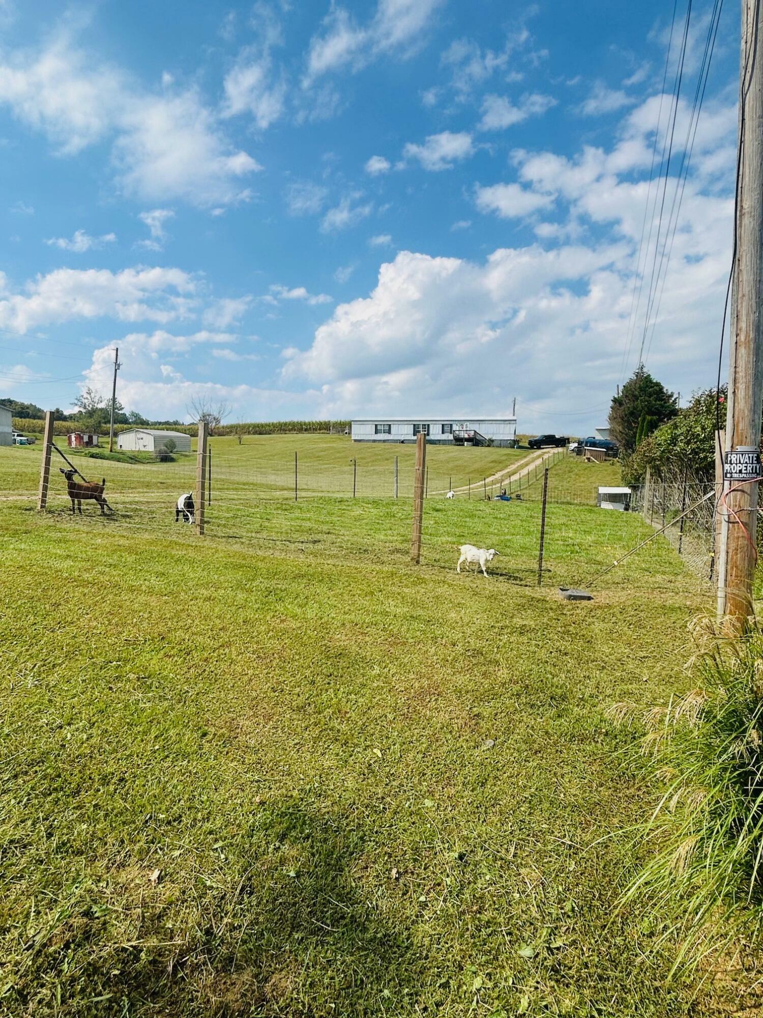 Property Photo:  303 Beech Grove Road  KY 42553 