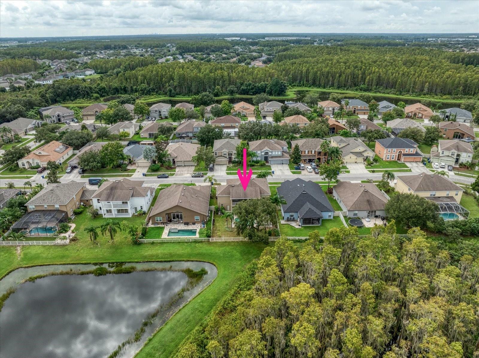 Property Photo:  17905 Machair Lane  FL 34638 