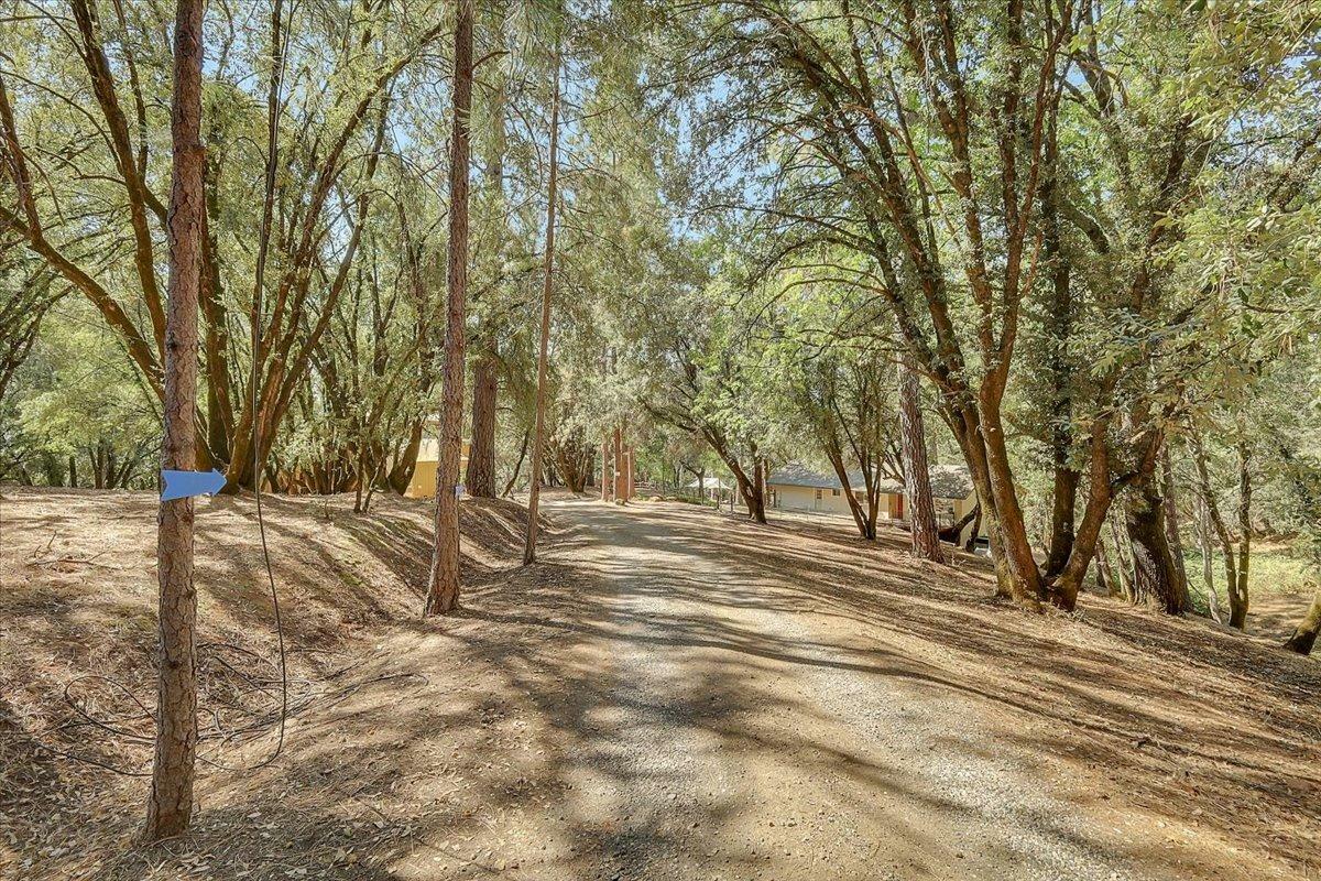 Property Photo:  11482 Betty Way  CA 95949 