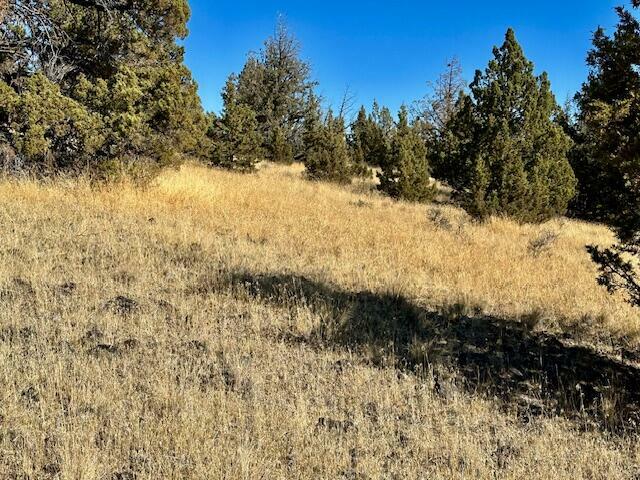 Property Photo:  Lot 30 SE Texas Circle  OR 97754 