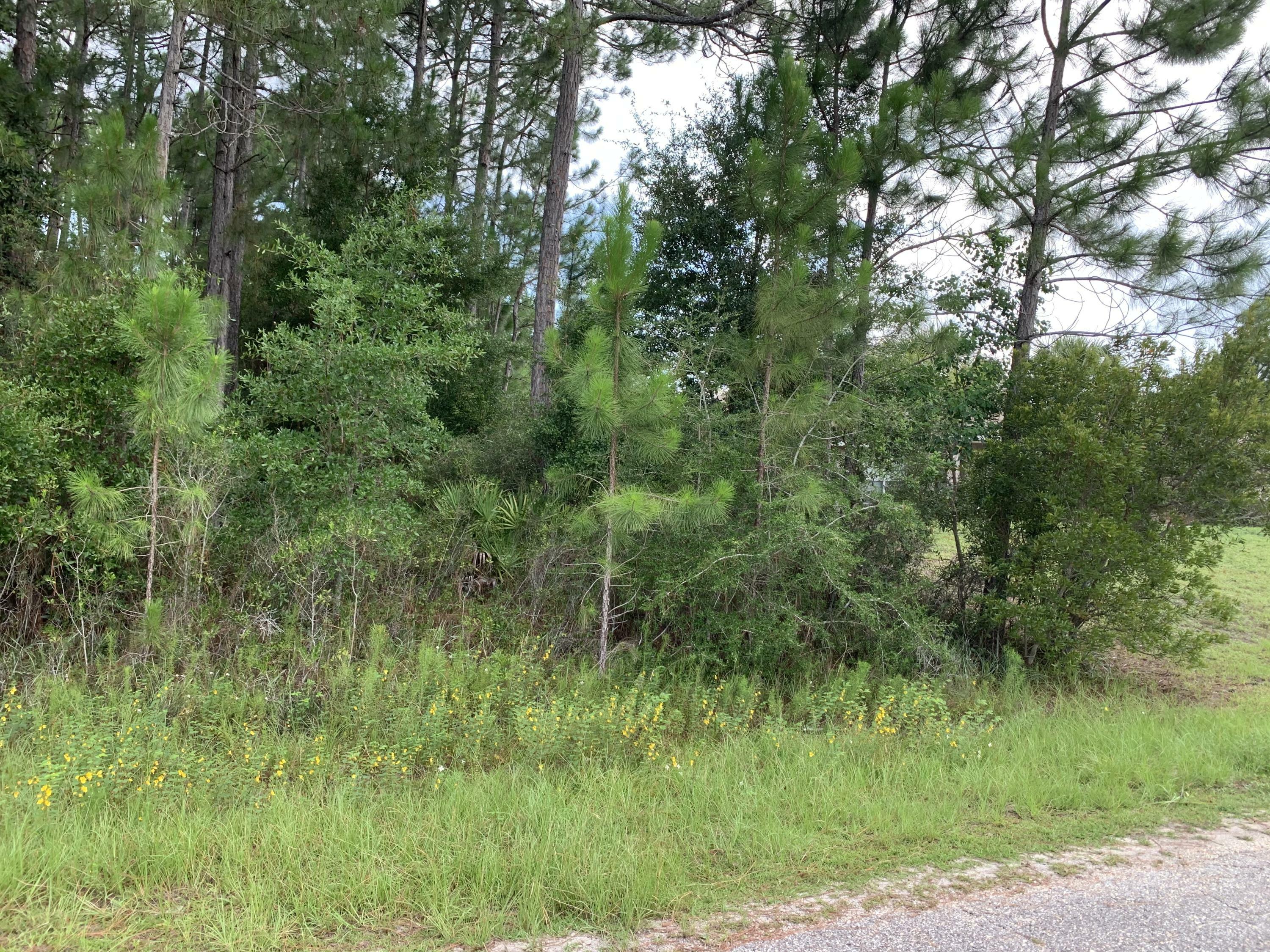 Property Photo:  2363 Knotty Pine Drive  FL 32566 