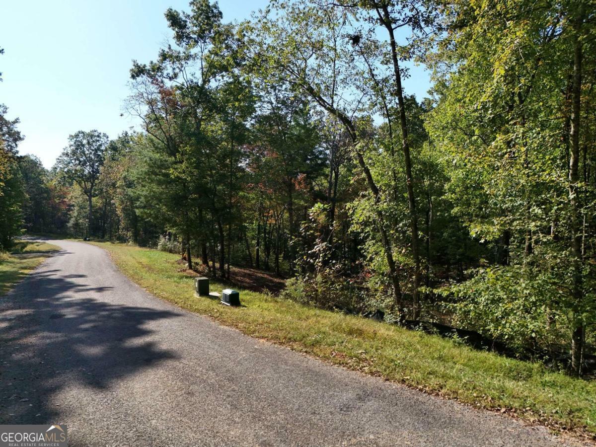 Property Photo:  Lot 52 Hilton Drive  GA 30540 