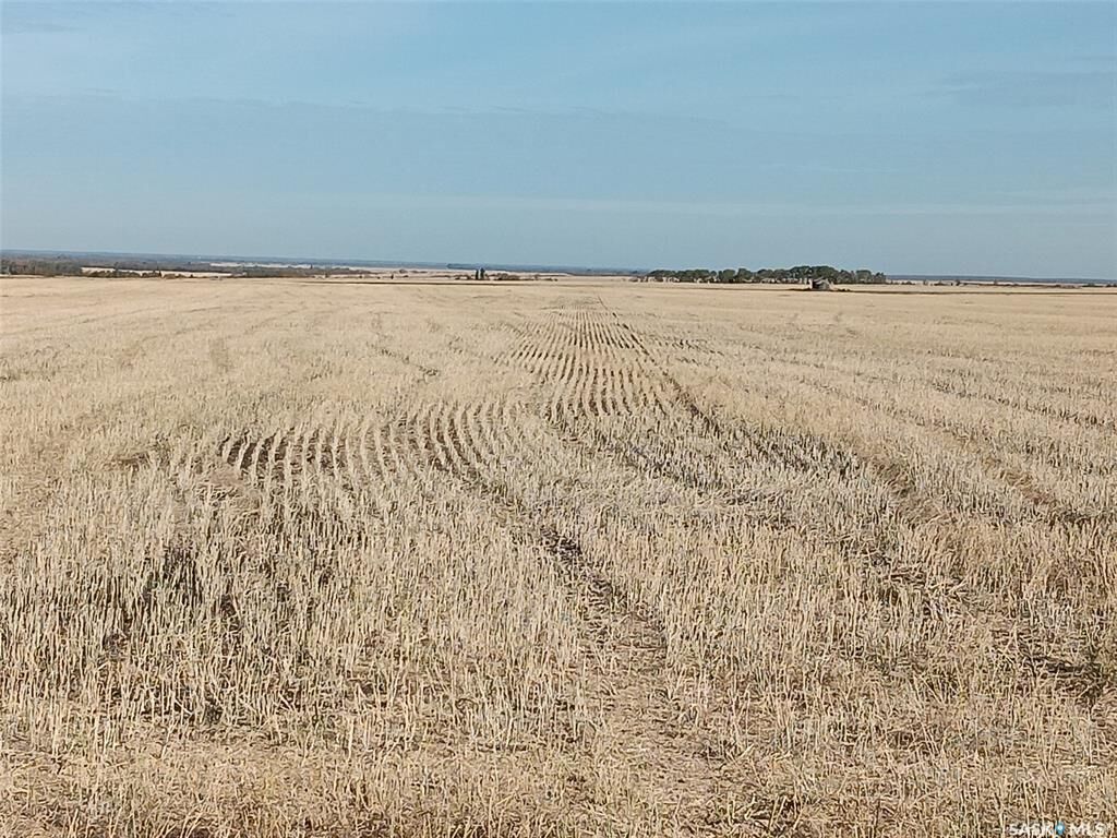 Property Photo:  Rural Address  SK S0E 0A0 