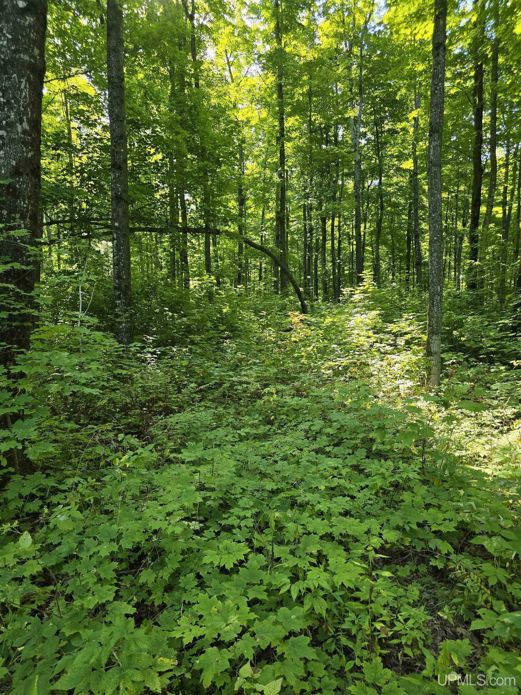 Property Photo: Unit 12 Redridge Creek Road MI 49905