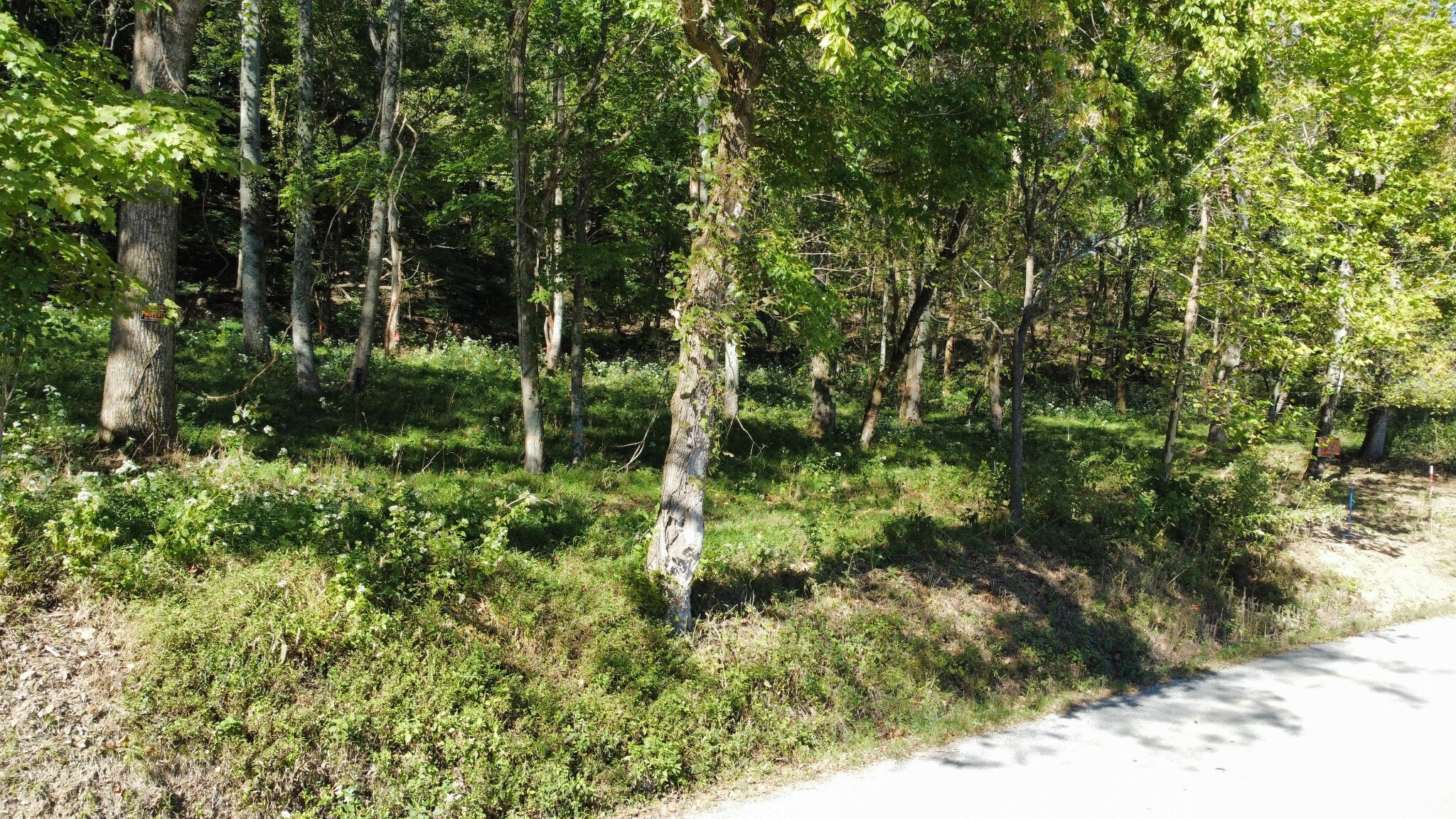 Property Photo:  1271 Thompson Hill Rd  TN 37022 