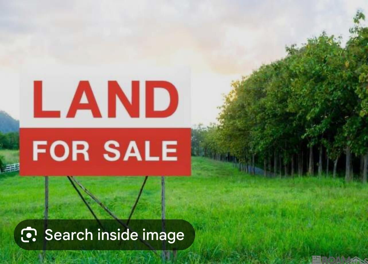 Property Photo:  Lot - 66 Ravier Ln  LA 70776