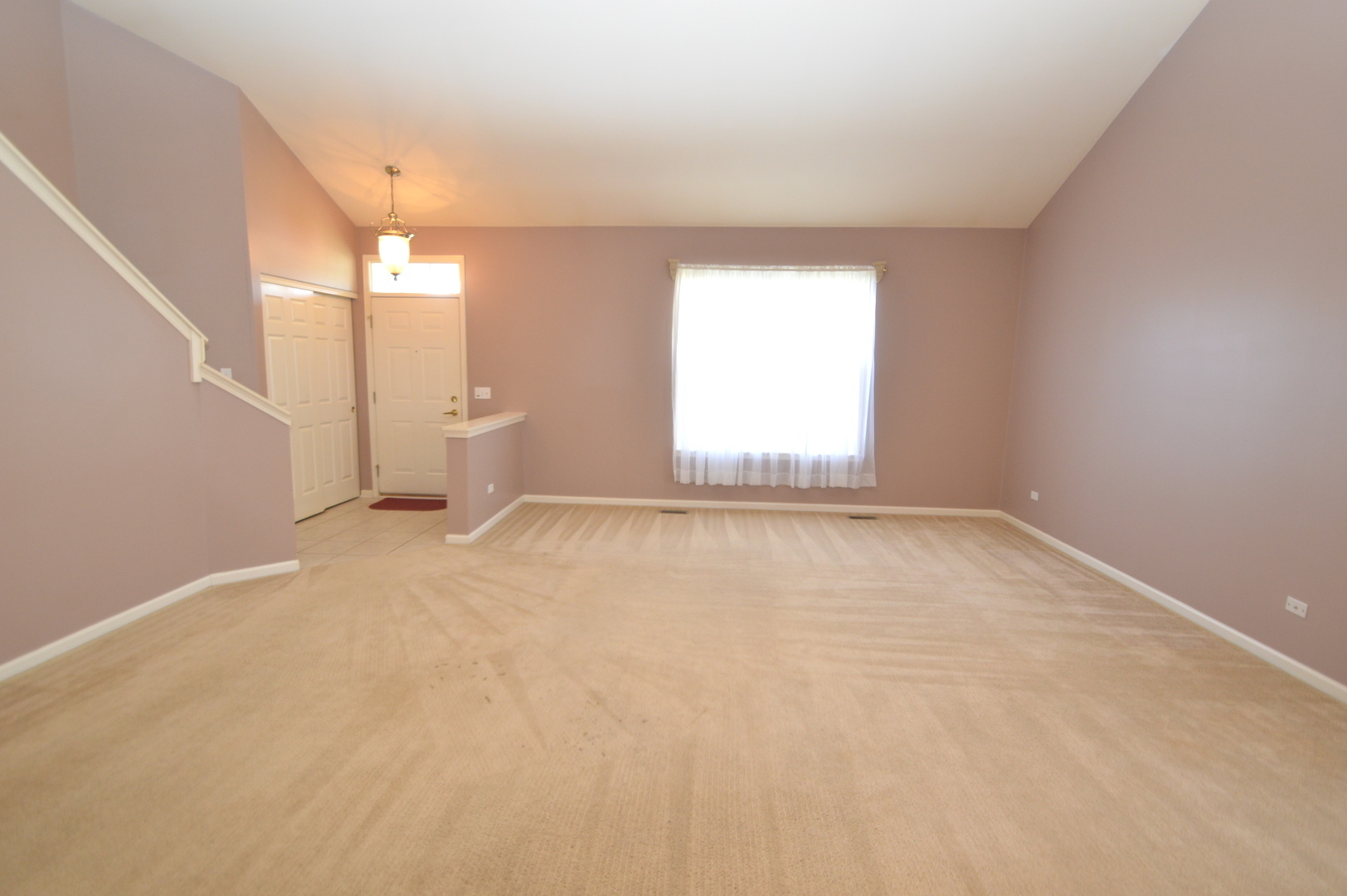 Property Photo:  669 Bridgeman Lane  IL 60446 