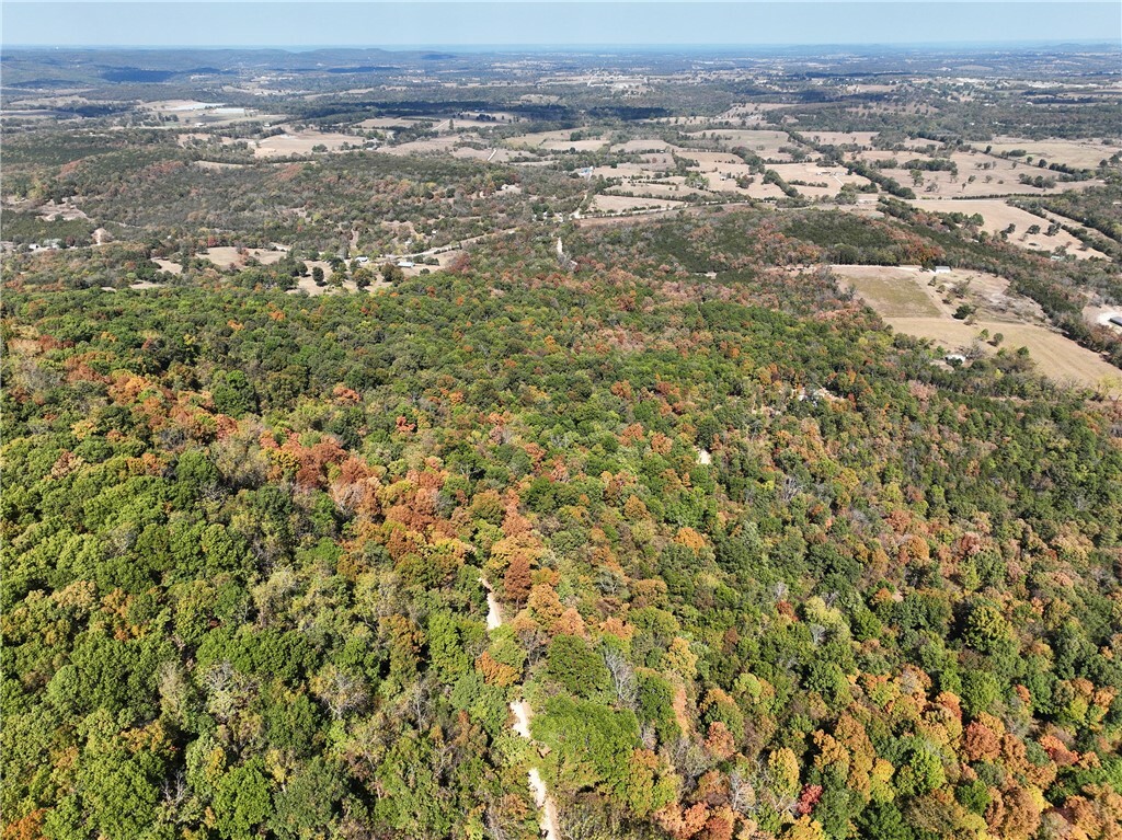 Property Photo:  Tbd County Road 507  AR 72616 