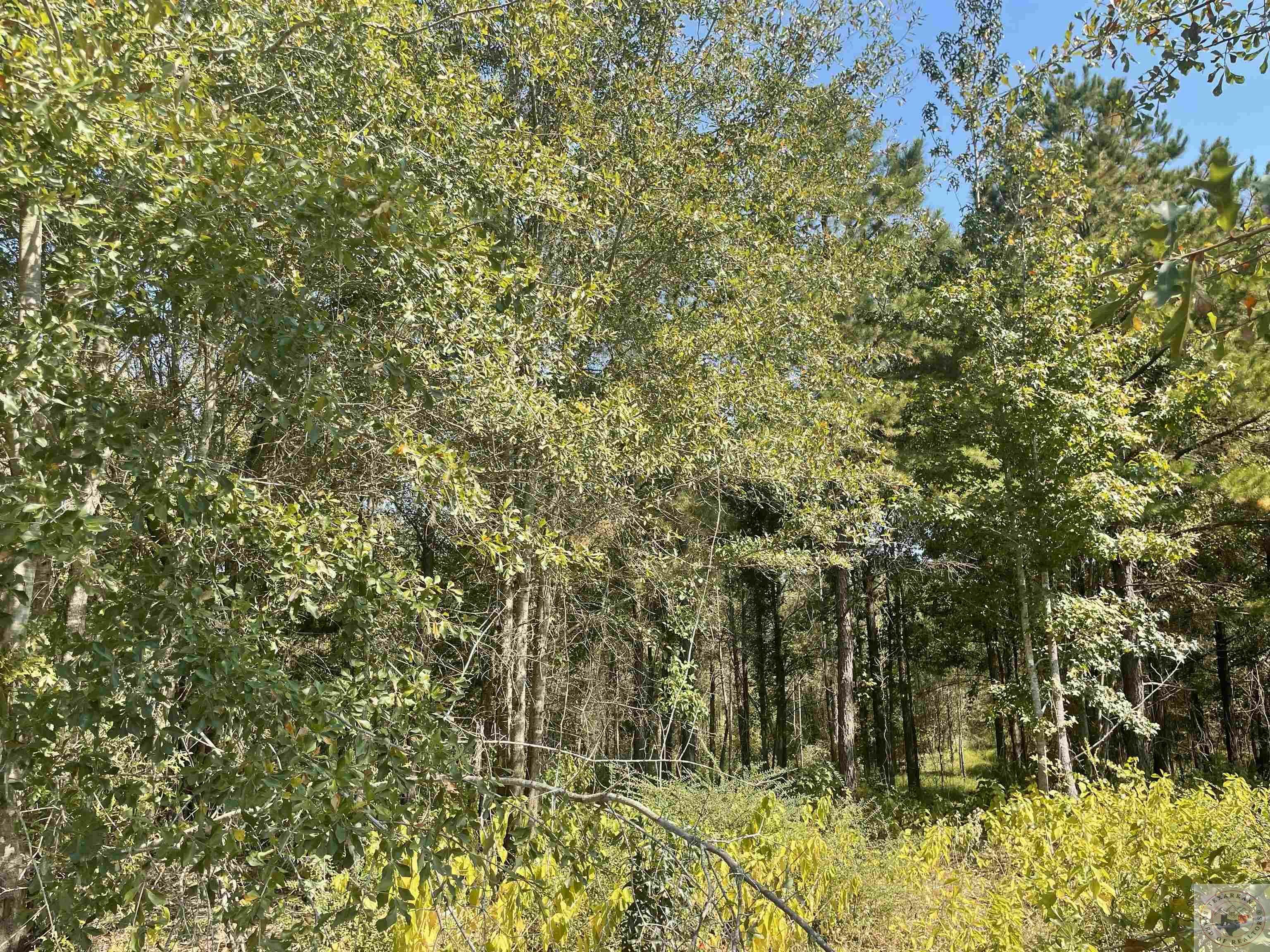Property Photo: Lot 46 Creekwood Addition AR 71854