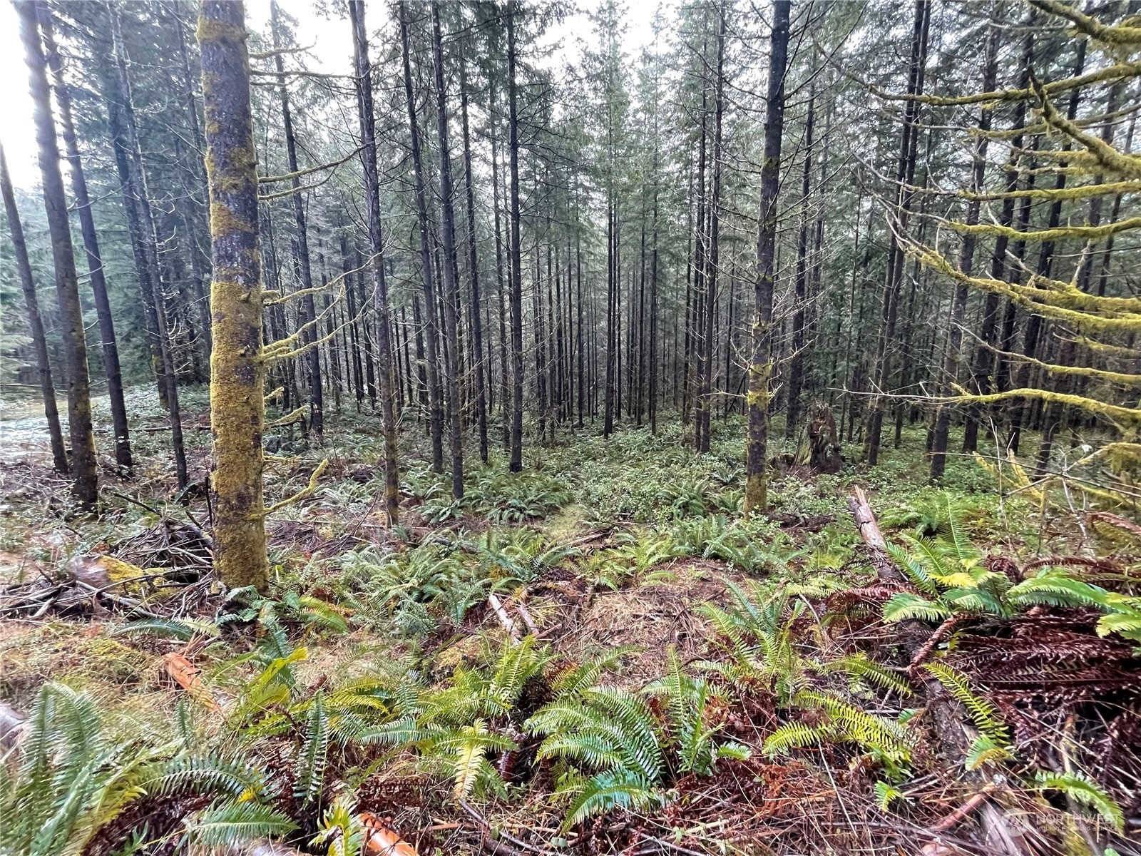 Property Photo:  0 Lot D NE Westerholm Road  WA 98606 