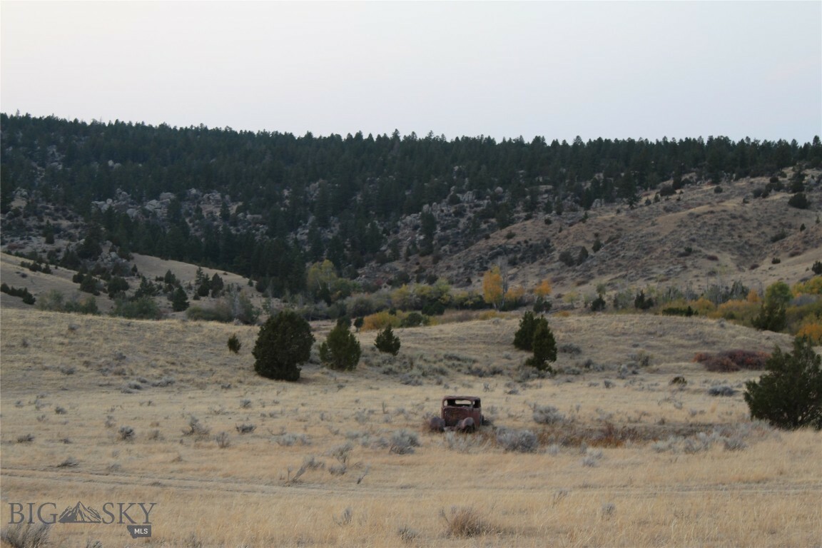 Property Photo:  Tbd Little Fish Creek Road  MT 59759 