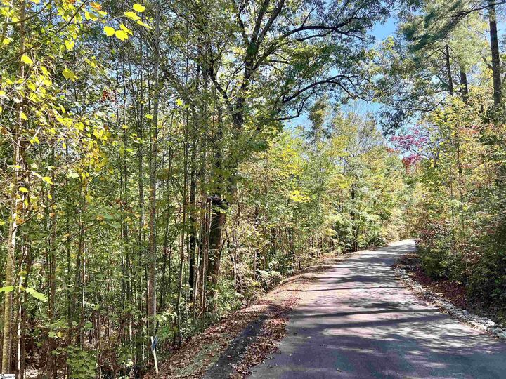 Property Photo: 124 Falcon Crest Way SC 29671