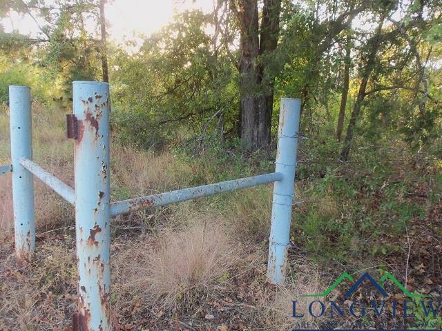 Tbd Whiteside Lane Cr 1127 D  Kilgore TX 75662 photo