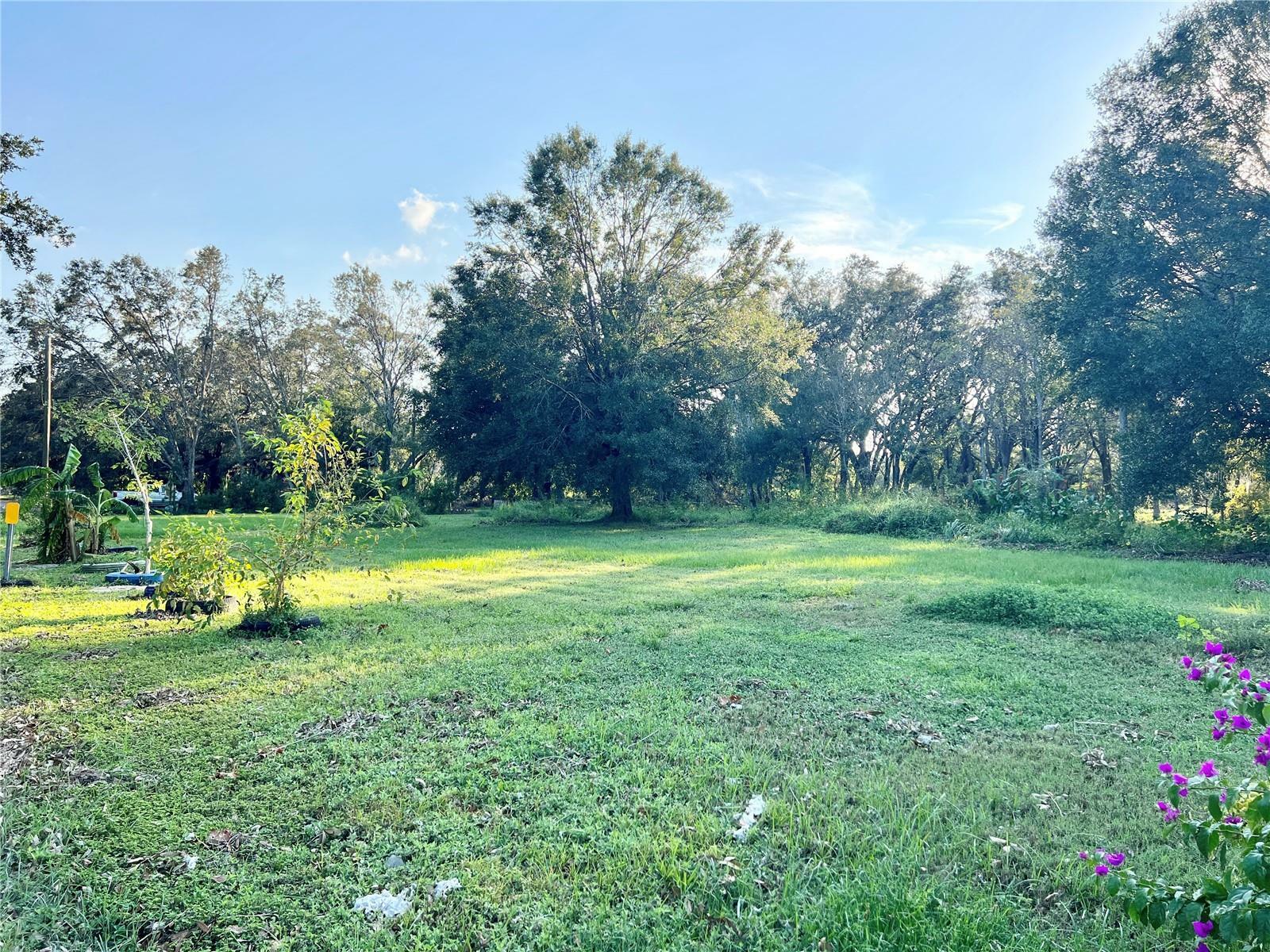 Property Photo:  5402 Trail Drive  FL 33584 