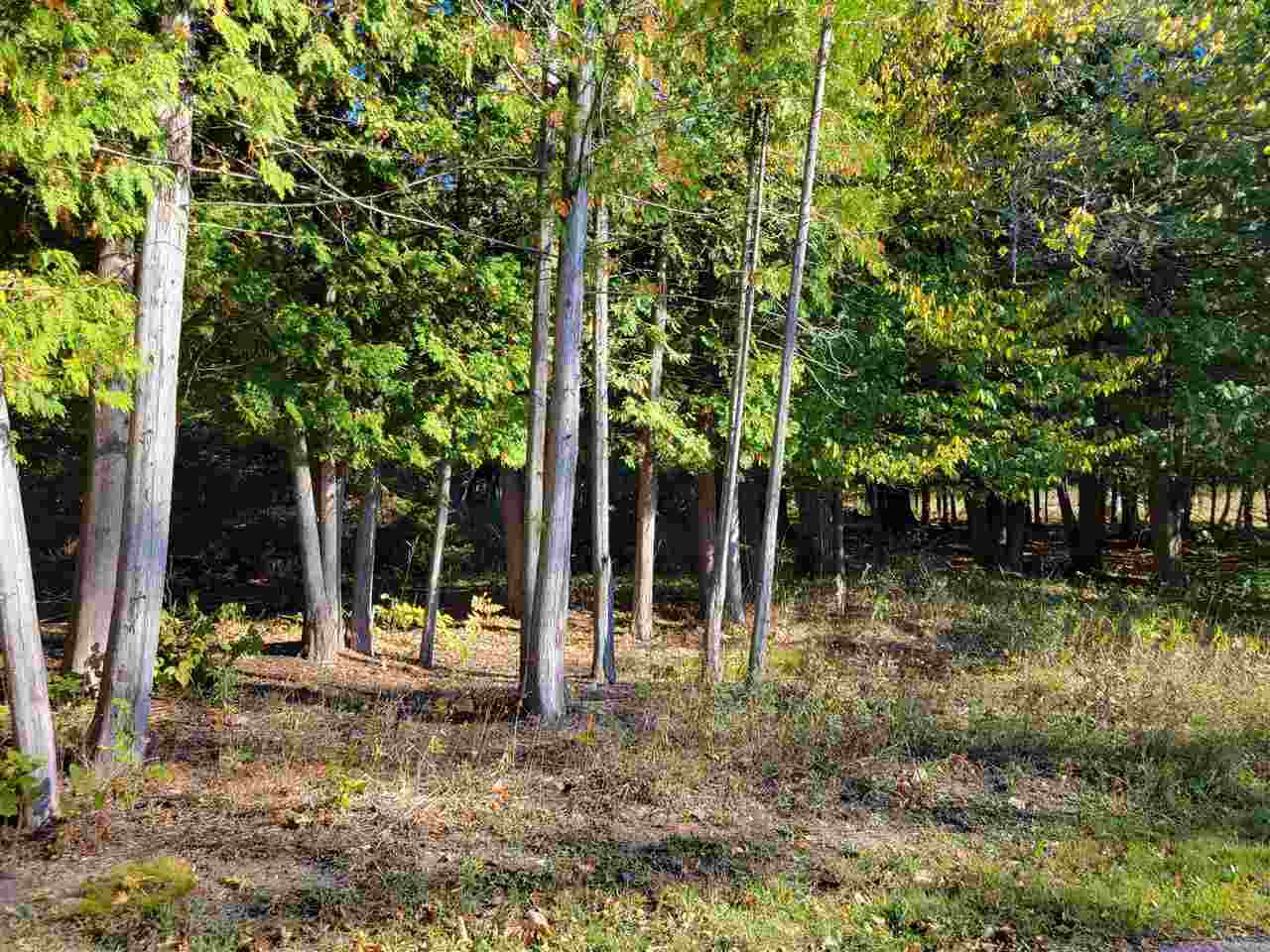 Property Photo:  Lot 1 &Amp Lot 2 Stonebridge  MI 49720 