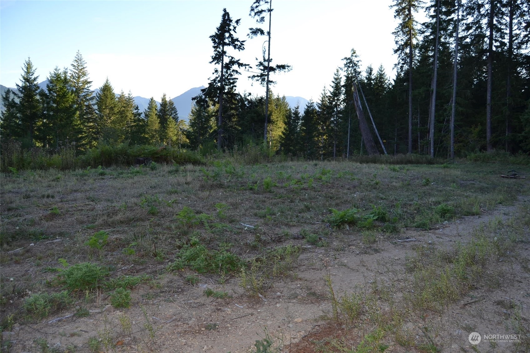 Property Photo:  0 S Skate Creek Rd.  WA 98361 