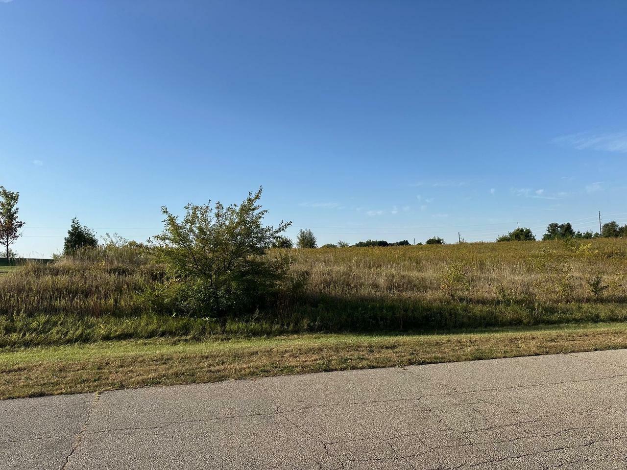 Property Photo:  L21 East Ryan Parkway  WI 53511 