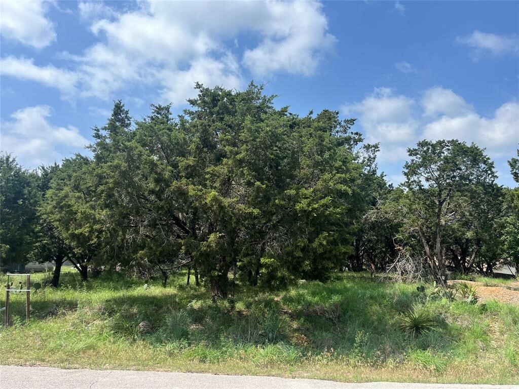 Property Photo:  21003 S Ridge Street  TX 78645 