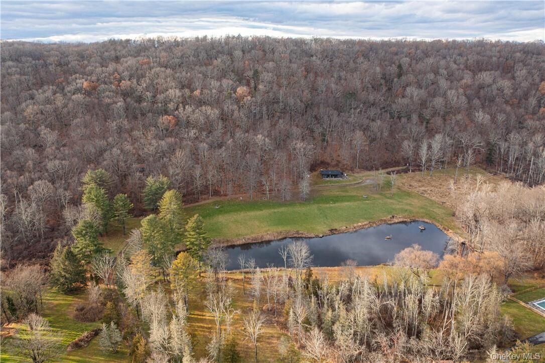 Property Photo: 165 Duell Hollow Road NY 12594
