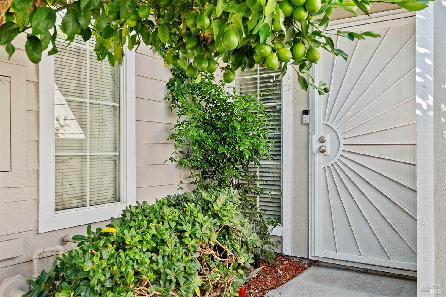 Property Photo:  607 Spruce Street  CA 95407 