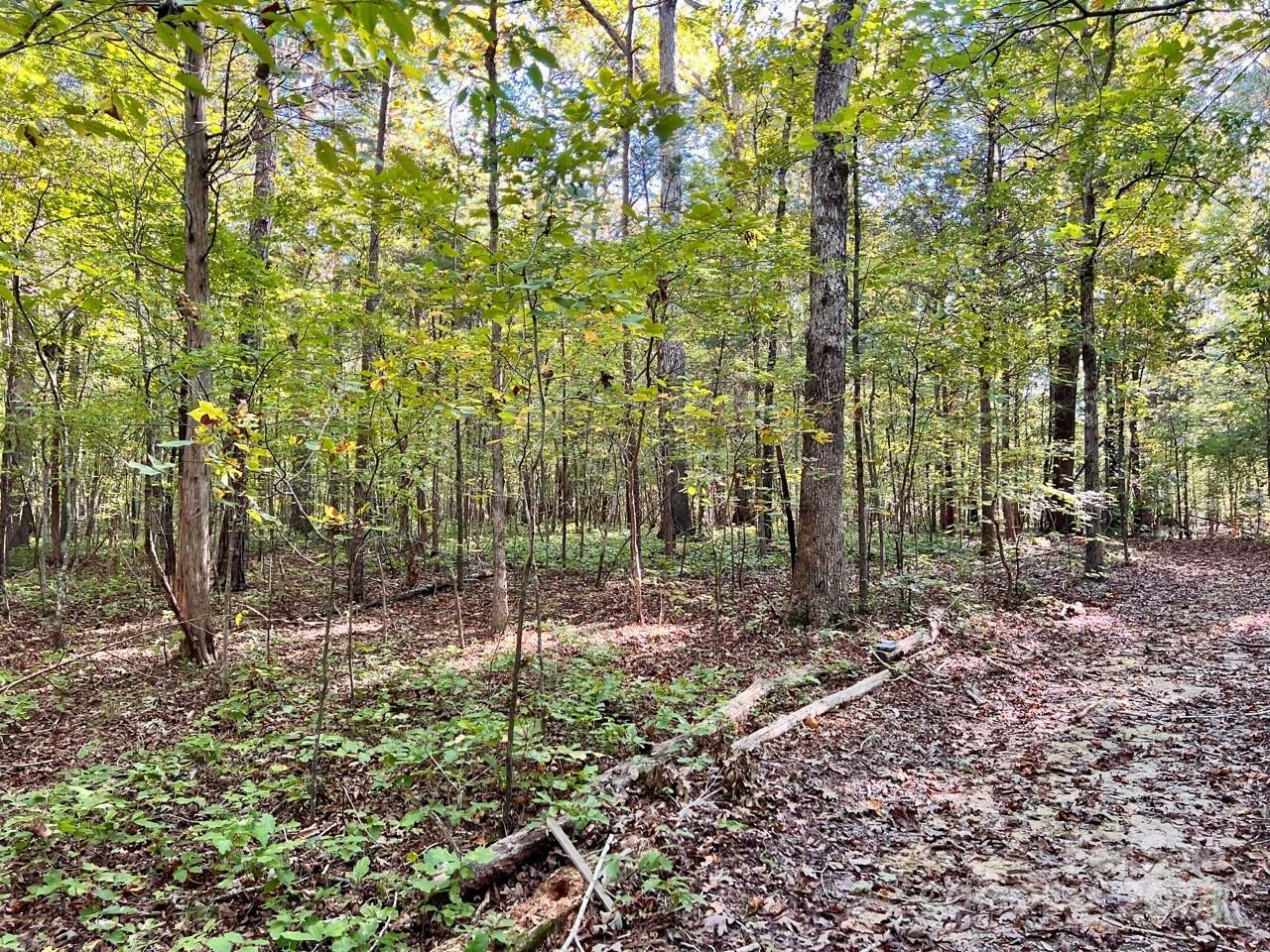 Property Photo:  10470 Highway 601 Highway  NC 28107 