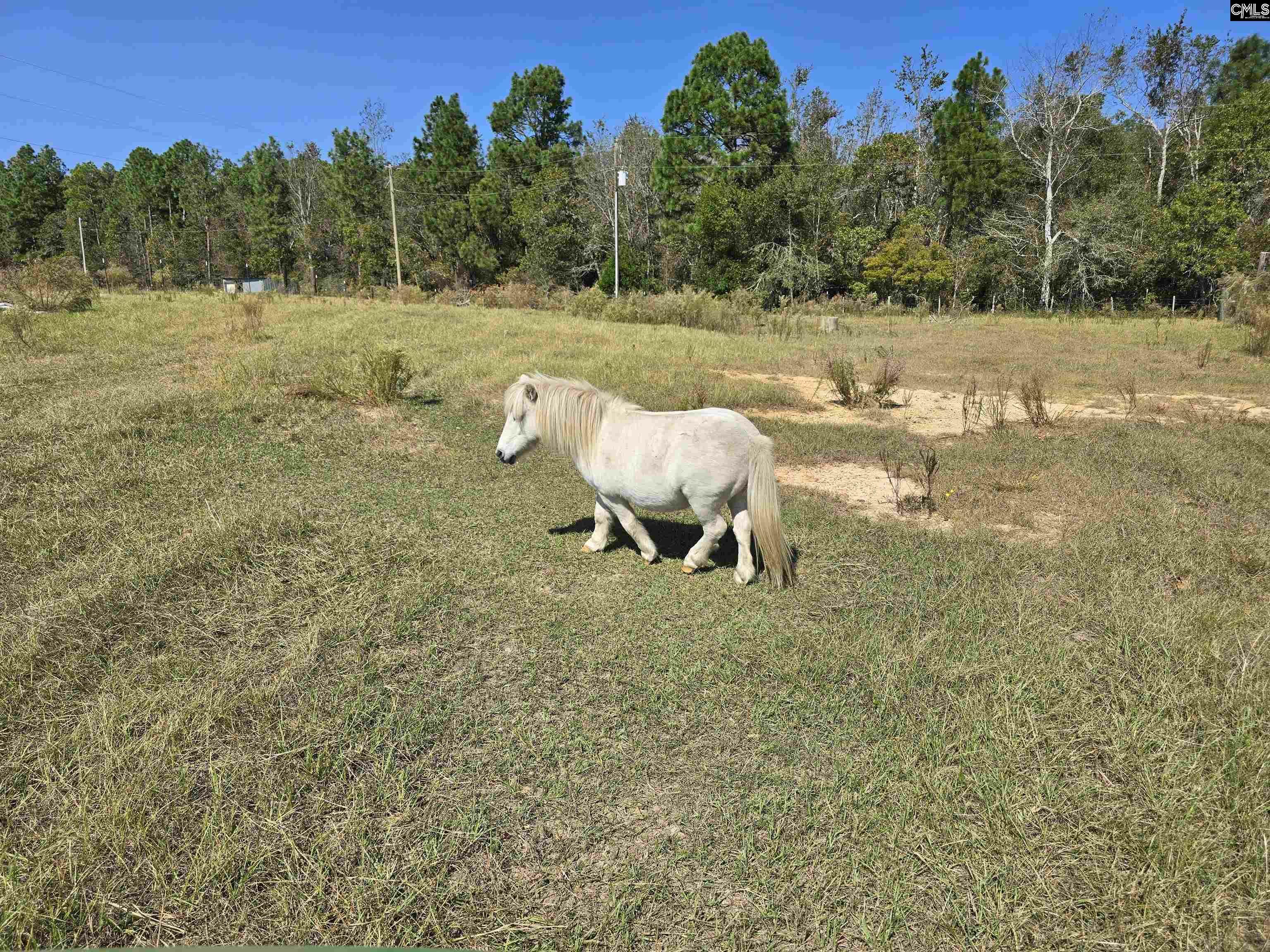 991 Old Chalk Bed  Batesburg SC 29006 photo