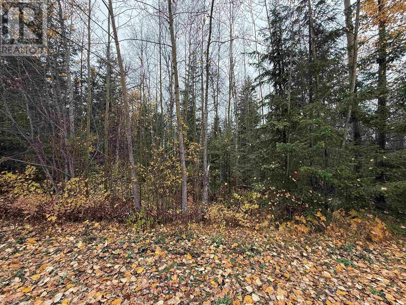 Property Photo:  Lot 11 Feldspar Avenue  BC V2J 5S5 