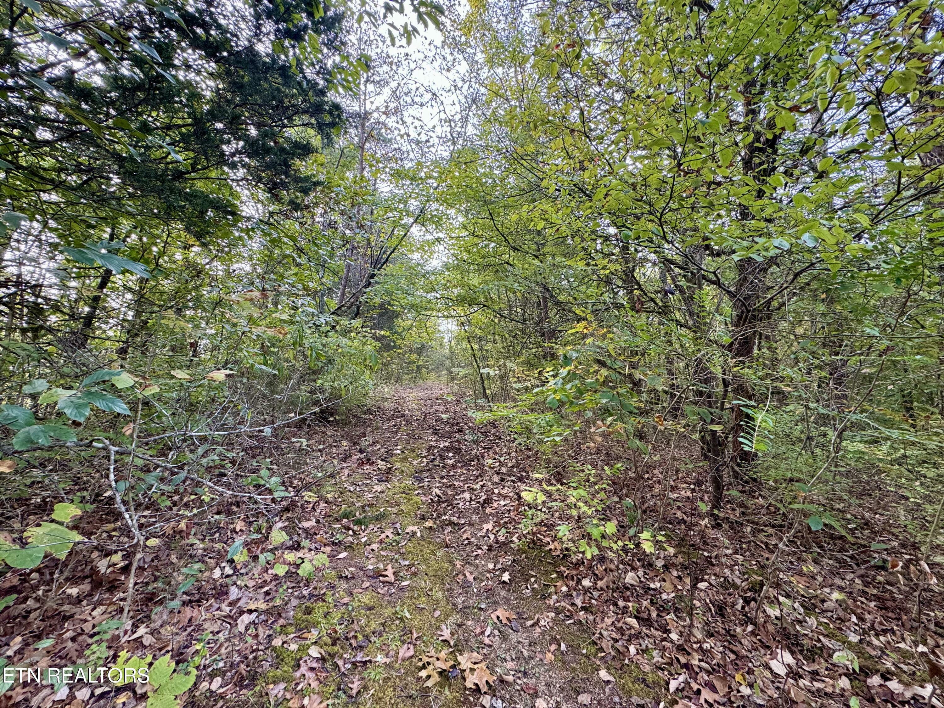 Property Photo:  Lot 19 Heatley Lane  TN 37862 