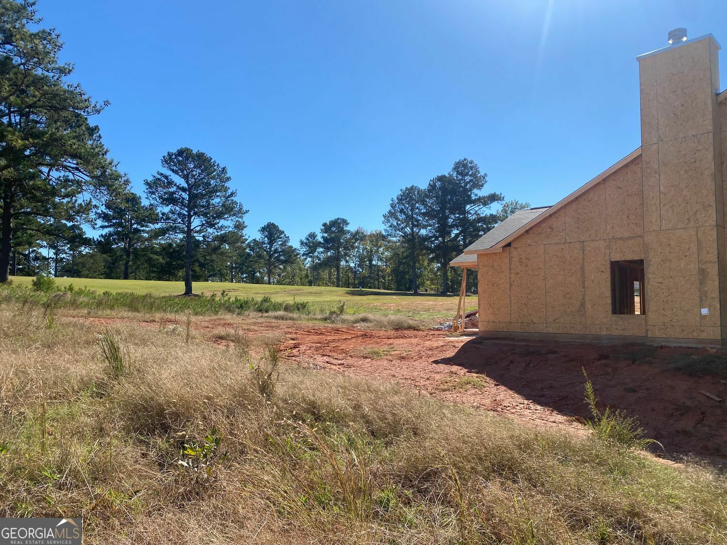 Property Photo:  1509 Cabin Creek Trail  GA 30223 