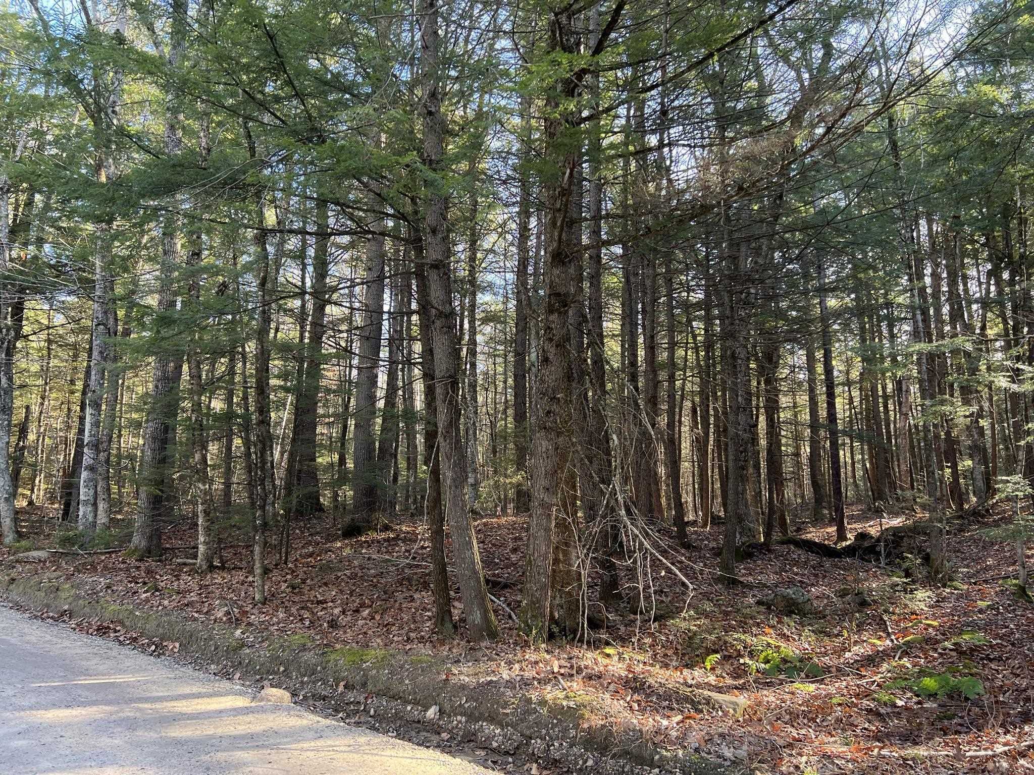 Property Photo:  Lot 7 Hermit Woods Road  NH 03269 