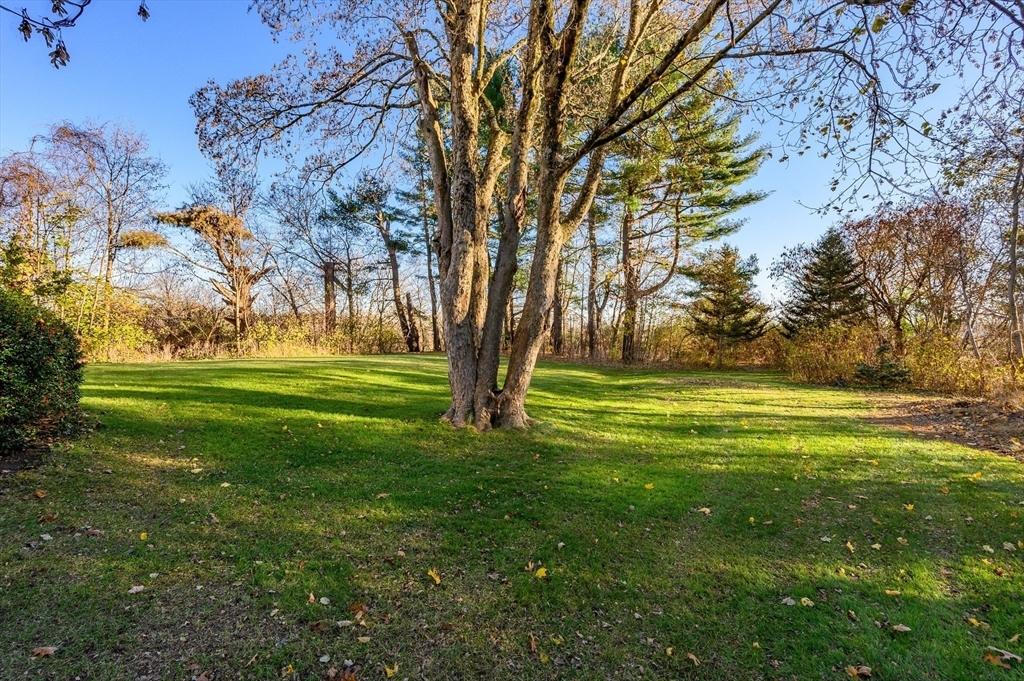 Property Photo:  312 South Elm Street  MA 02379 