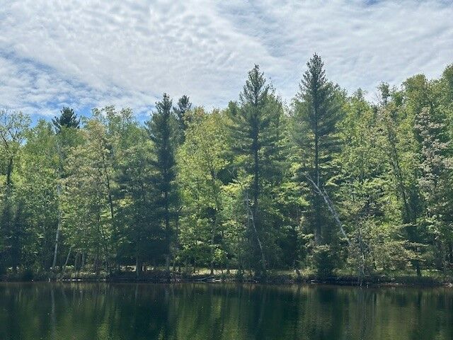 Property Photo: Lot 2 W South Road WI 54843