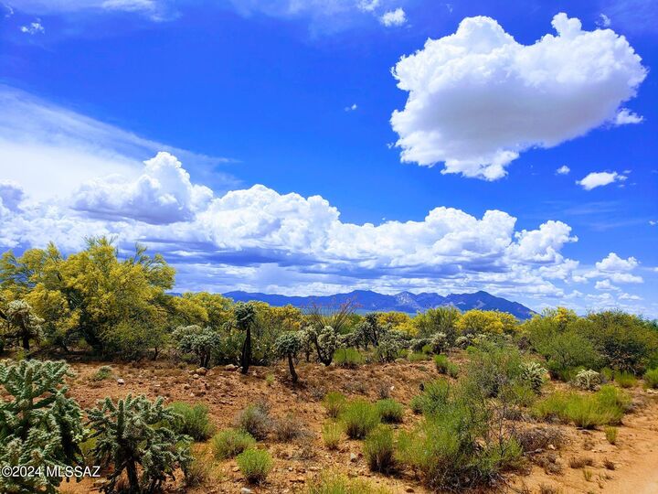 16408 Stoval Avenue  Tucson AZ 85736 photo